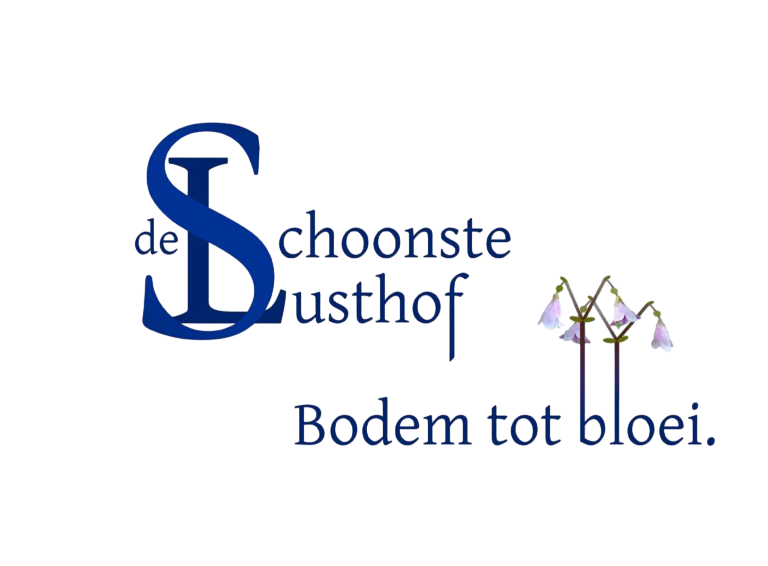 Logo_met_motto-DSL-768x566 (1)-Photoroom